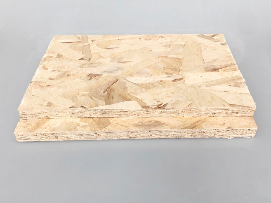 2024年森林監(jiān)測(cè)結(jié)果摘要